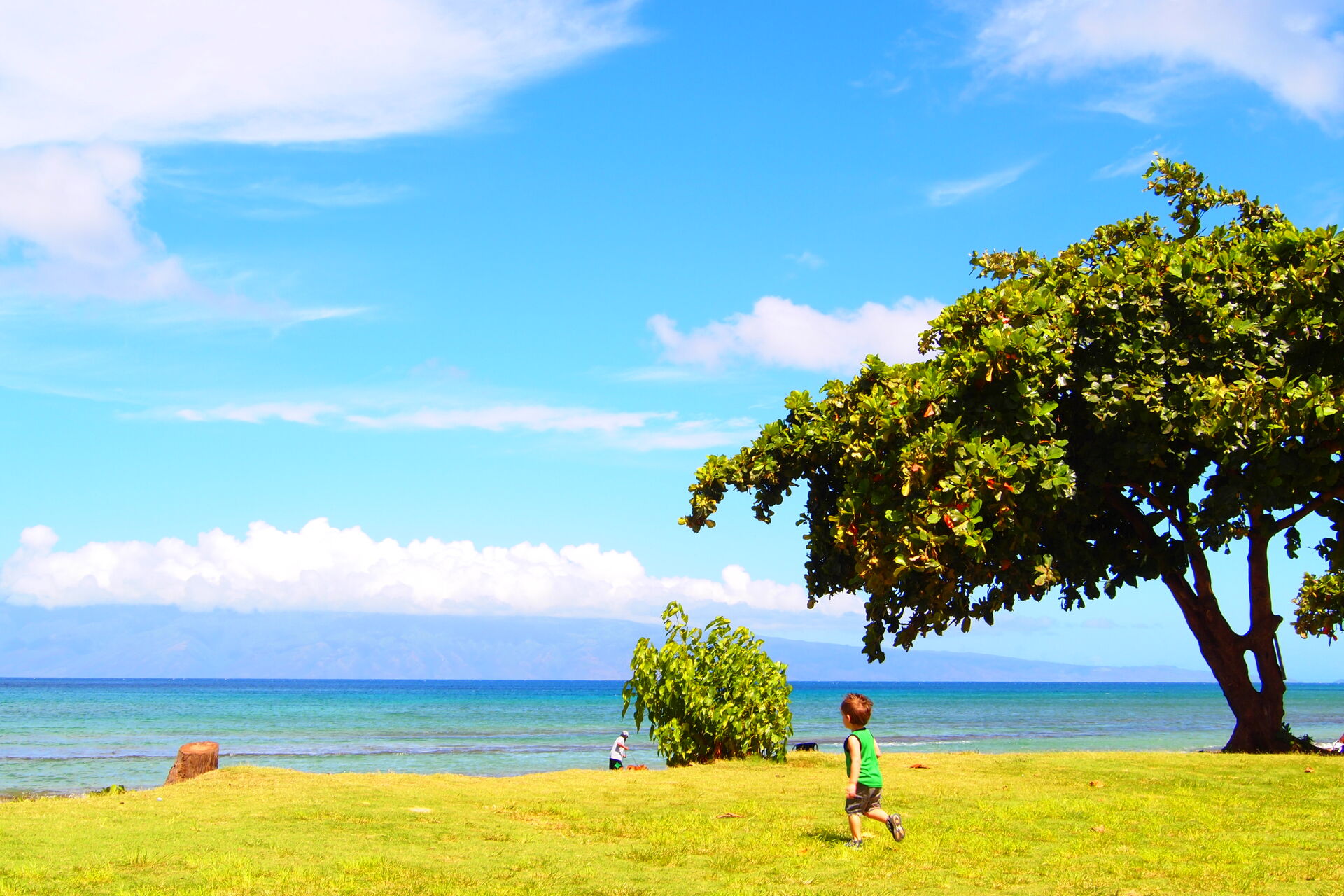 hawaii_ph